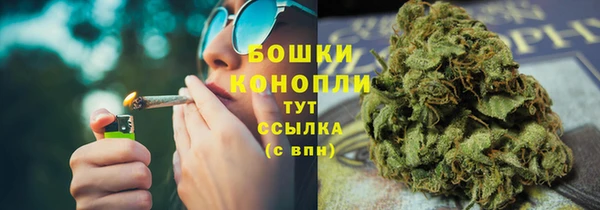 ГАЛЛЮЦИНОГЕННЫЕ ГРИБЫ Арсеньев