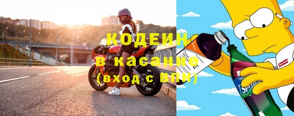 ГАЛЛЮЦИНОГЕННЫЕ ГРИБЫ Арсеньев