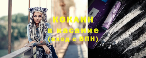 ГАЛЛЮЦИНОГЕННЫЕ ГРИБЫ Арсеньев