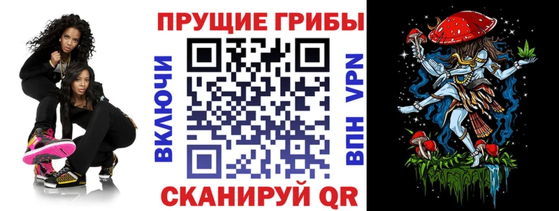 закладки  Харовск  Псилоцибиновые грибы MAGIC MUSHROOMS 